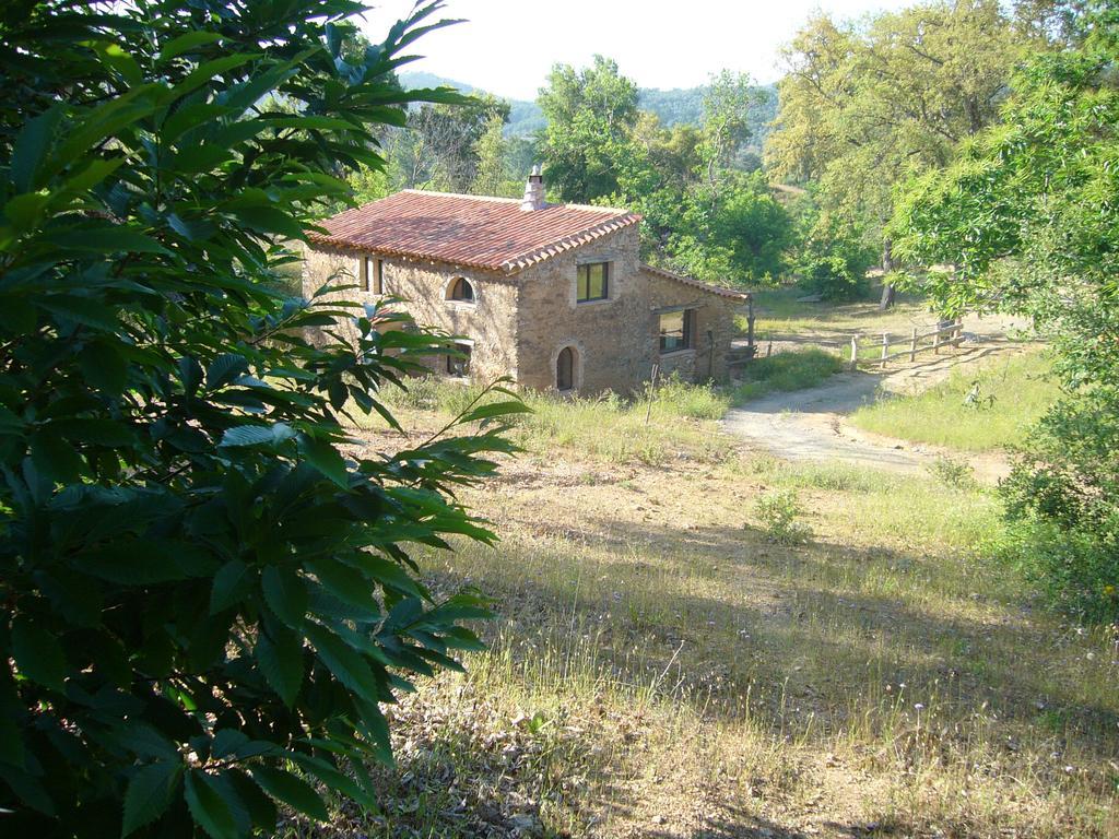 Casas El Alamillo- El Castanero Pension Galaroza Buitenkant foto